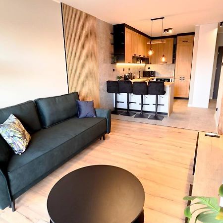 Cisza Przy Lodzkiej By Rentoom Lägenhet Stary Toruń Exteriör bild